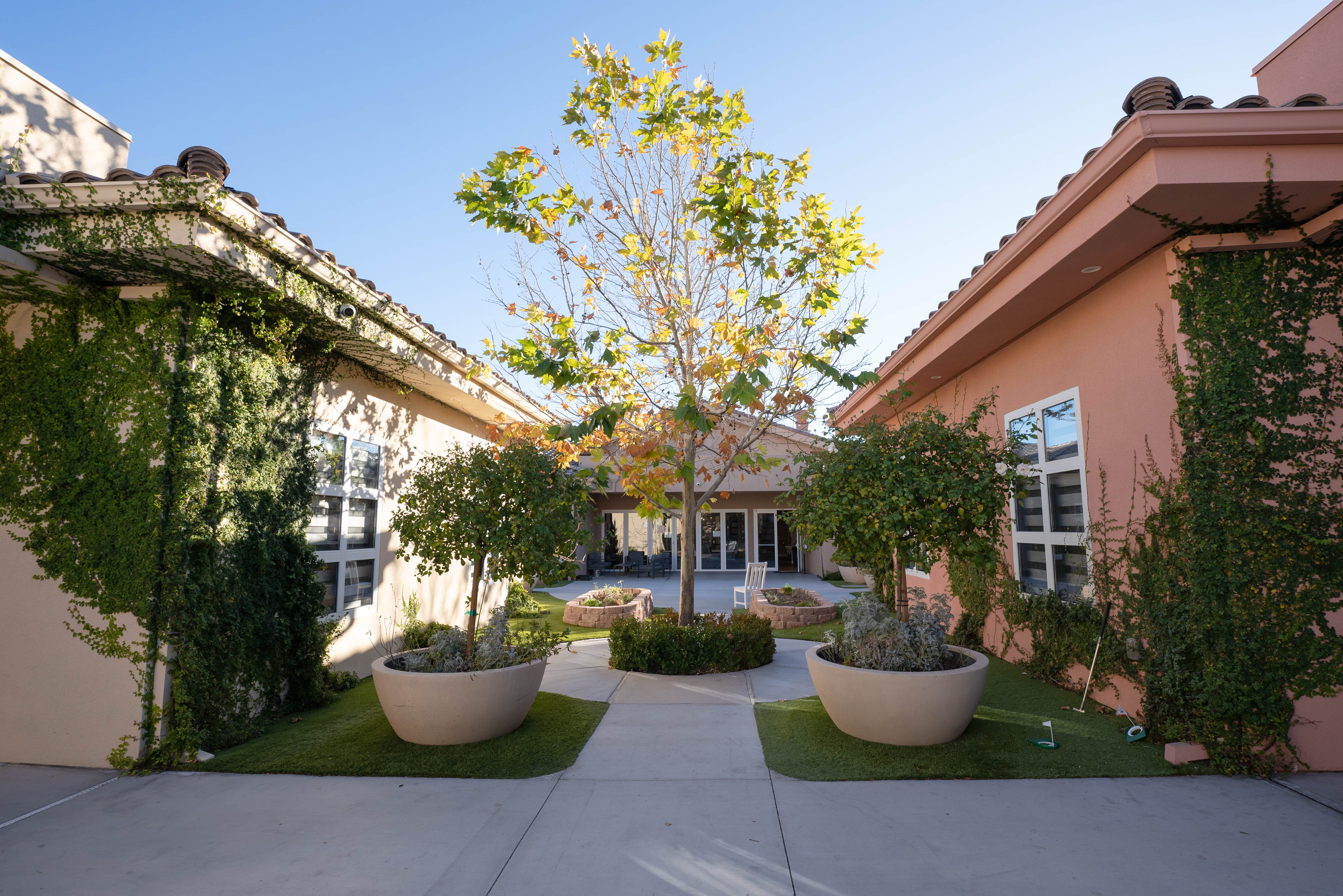 Courtyard garden with tree and planters at Virtue Recovery Las Vegas